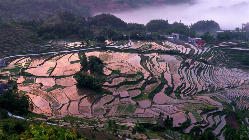 文旅部認證的113條鄉村旅遊精品線路來了