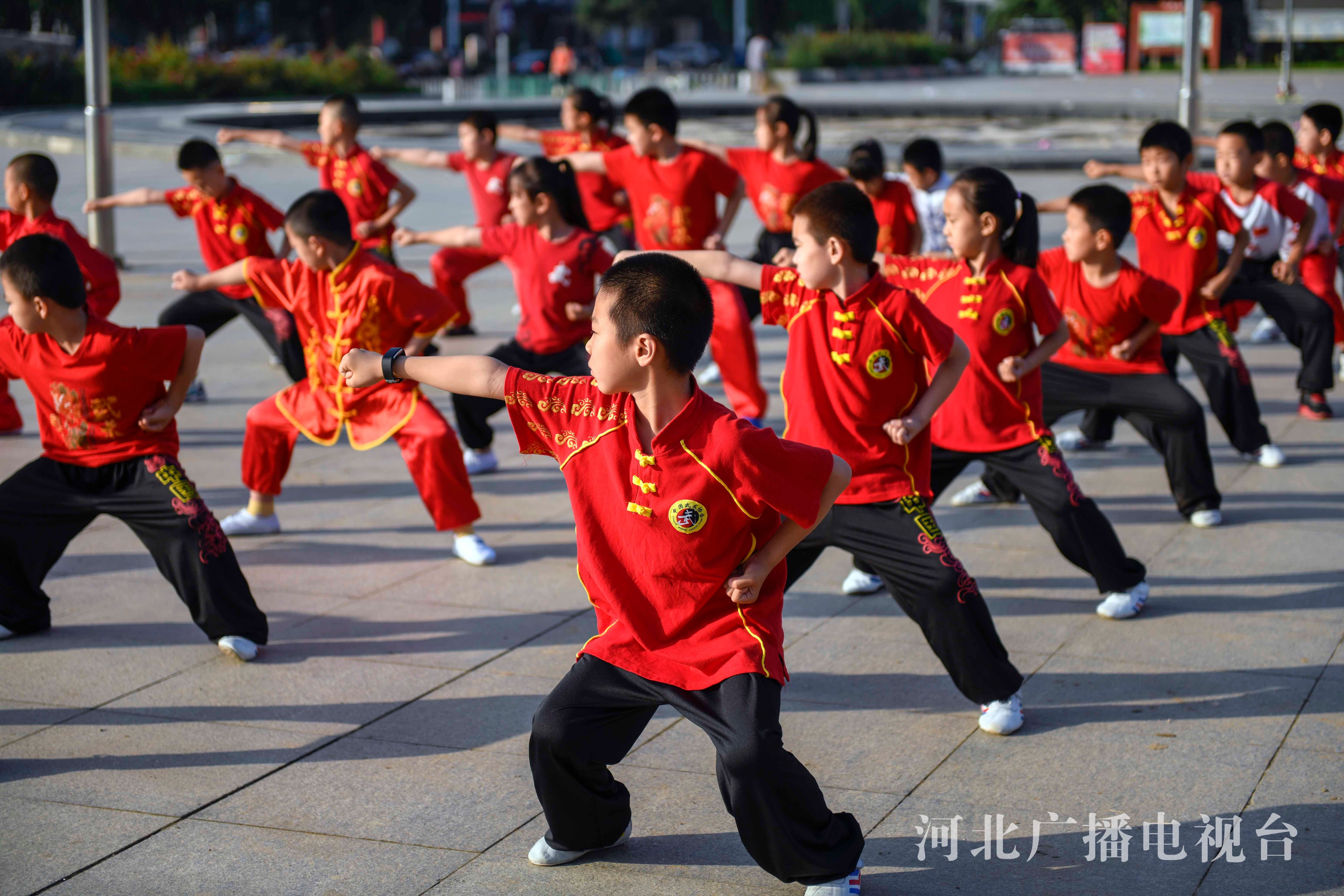 揭东学武术（揭西武术协会）《揭西县武术协会》