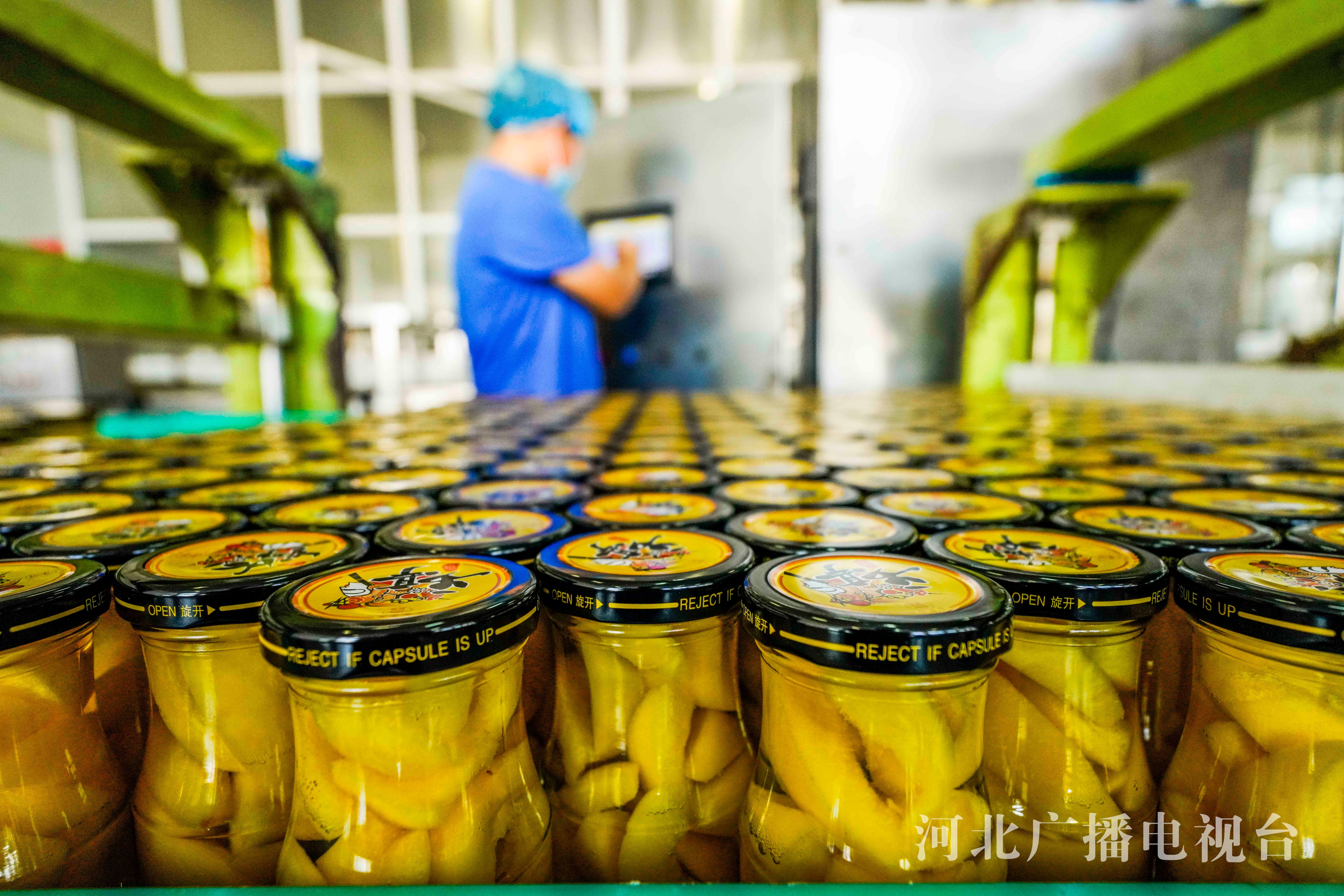 罐头厂工作人员视频(罐头厂工作人员视频教程)