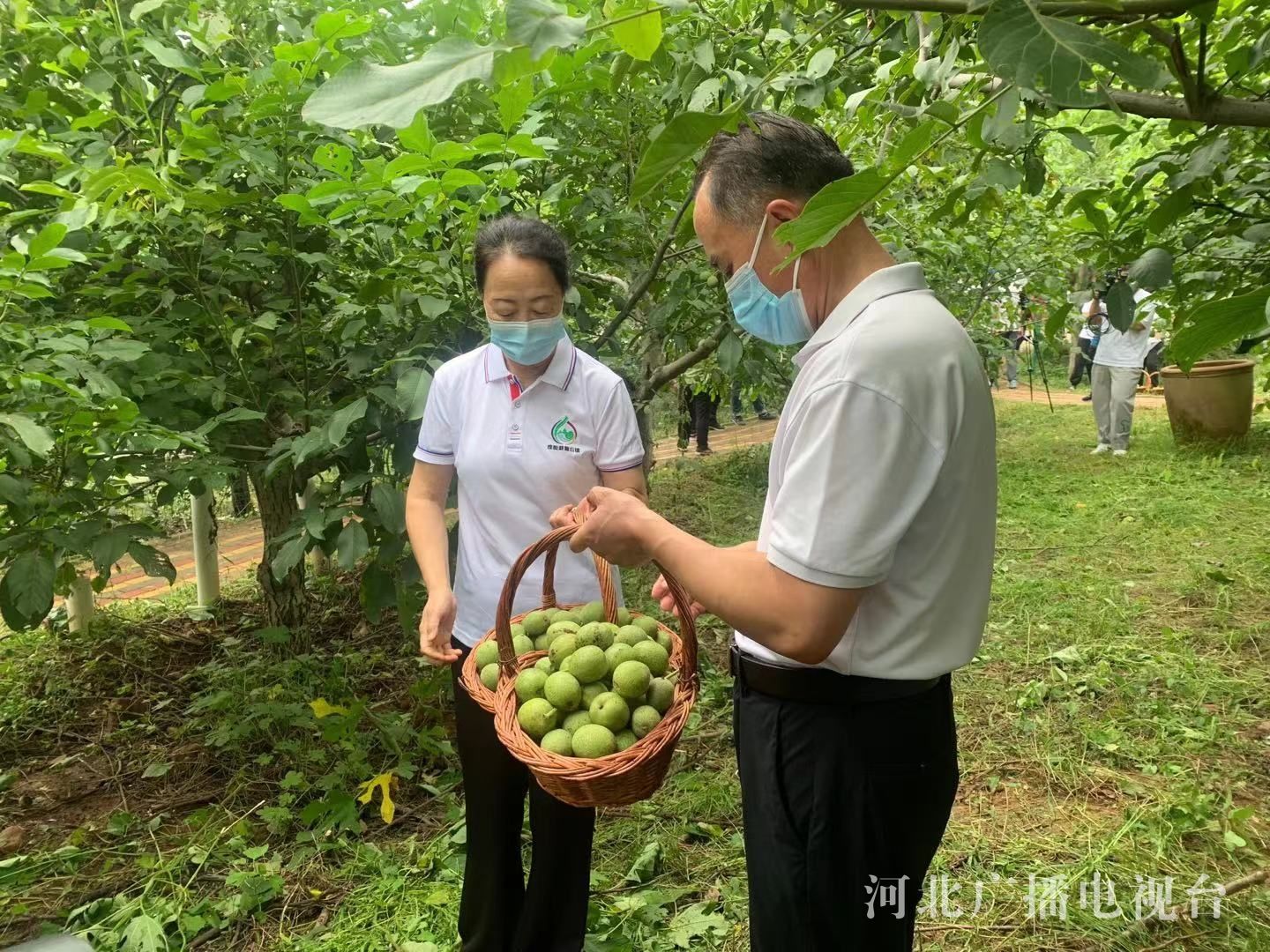 邢臺市臨城縣副縣長 董立鴻介紹說: