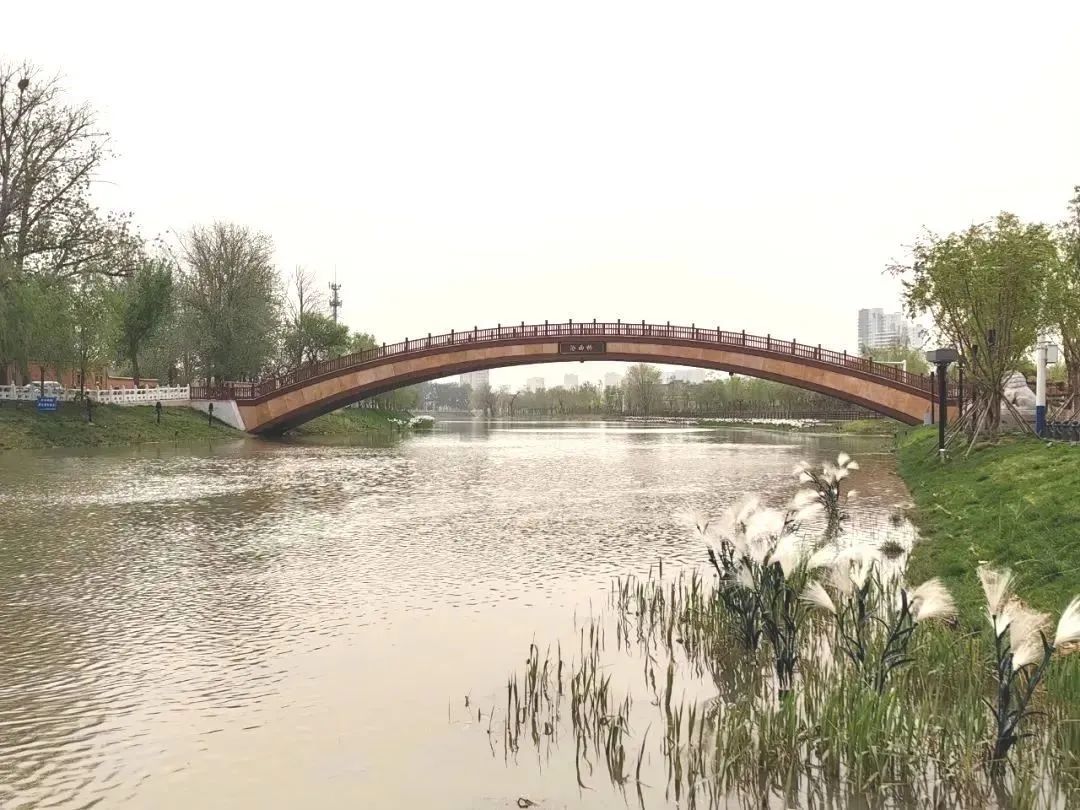 沧州印象 | 一河流淌的文明，千年传承的风景_大运河