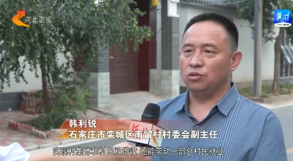 开云体育 开云平台乡村振兴新发现丨石家庄栾城区南留村：闲散土地变“宝地” 发展旅游促增收(图3)