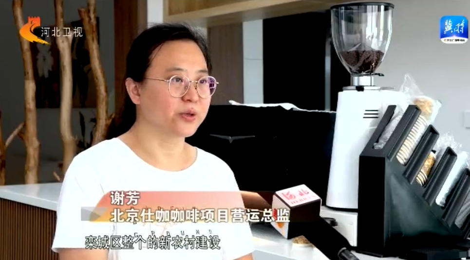 开云体育 开云平台乡村振兴新发现丨石家庄栾城区南留村：闲散土地变“宝地” 发展旅游促增收(图6)