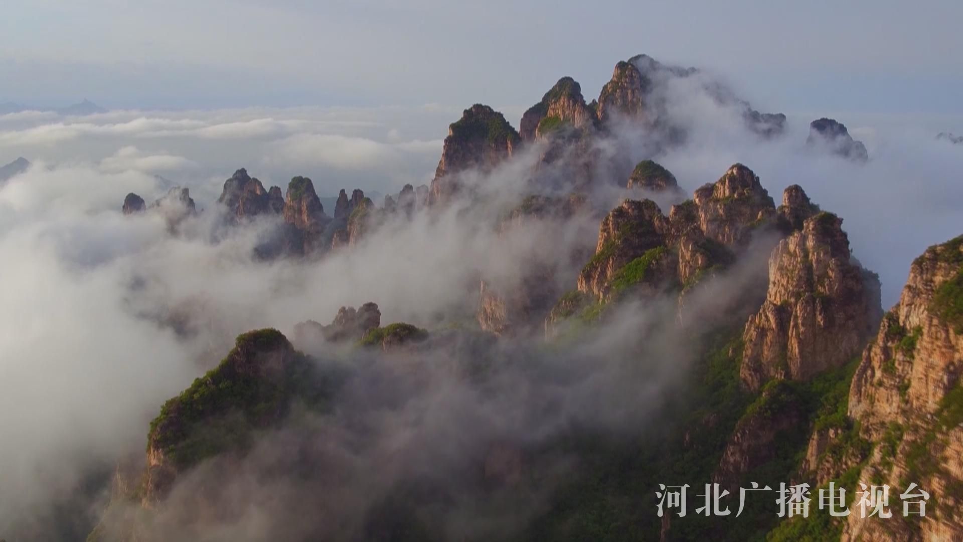 河北 紗 衣