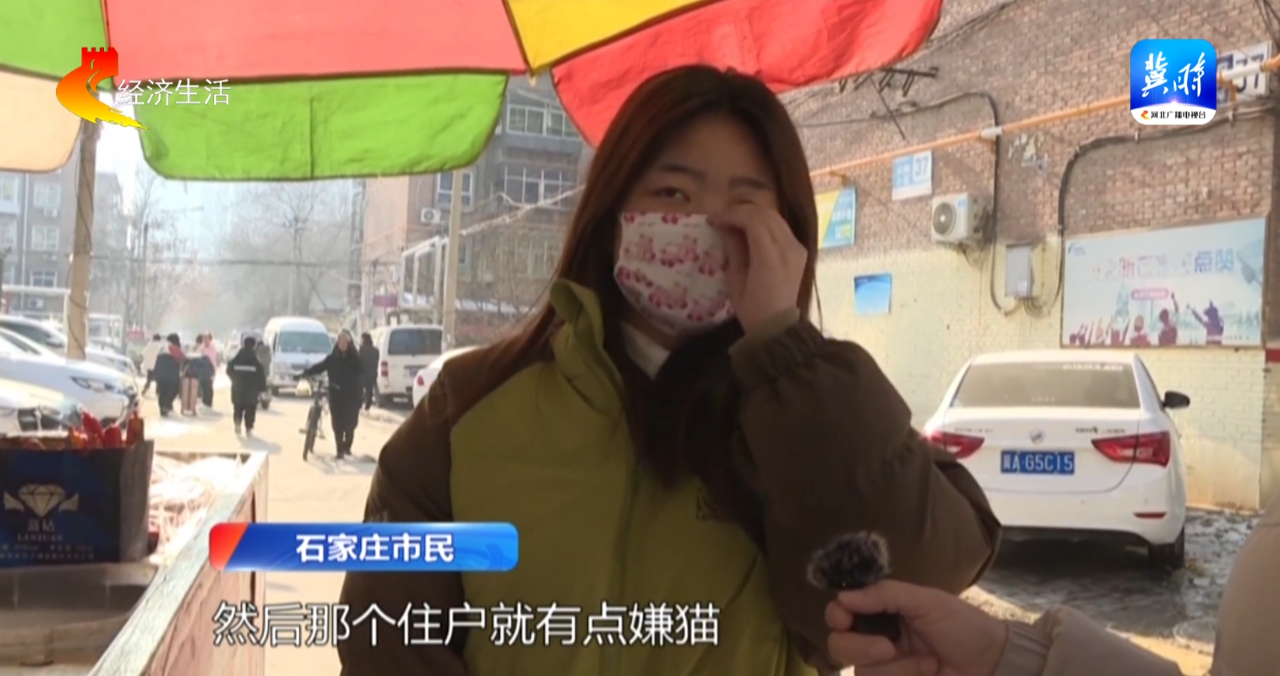 【特别关注】善待流浪小动物 人与动物和谐相处