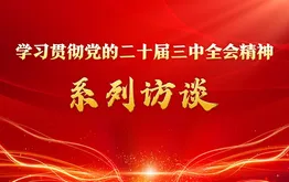 学习贯彻党的二十届三中全会精神系列访谈