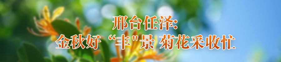 “丰”光无限好⑨“6686体育注册鲜花经济”富农家(图1)