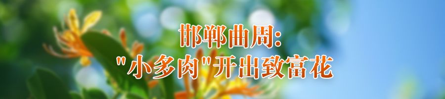 “丰”光无限好⑨“6686体育注册鲜花经济”富农家(图4)