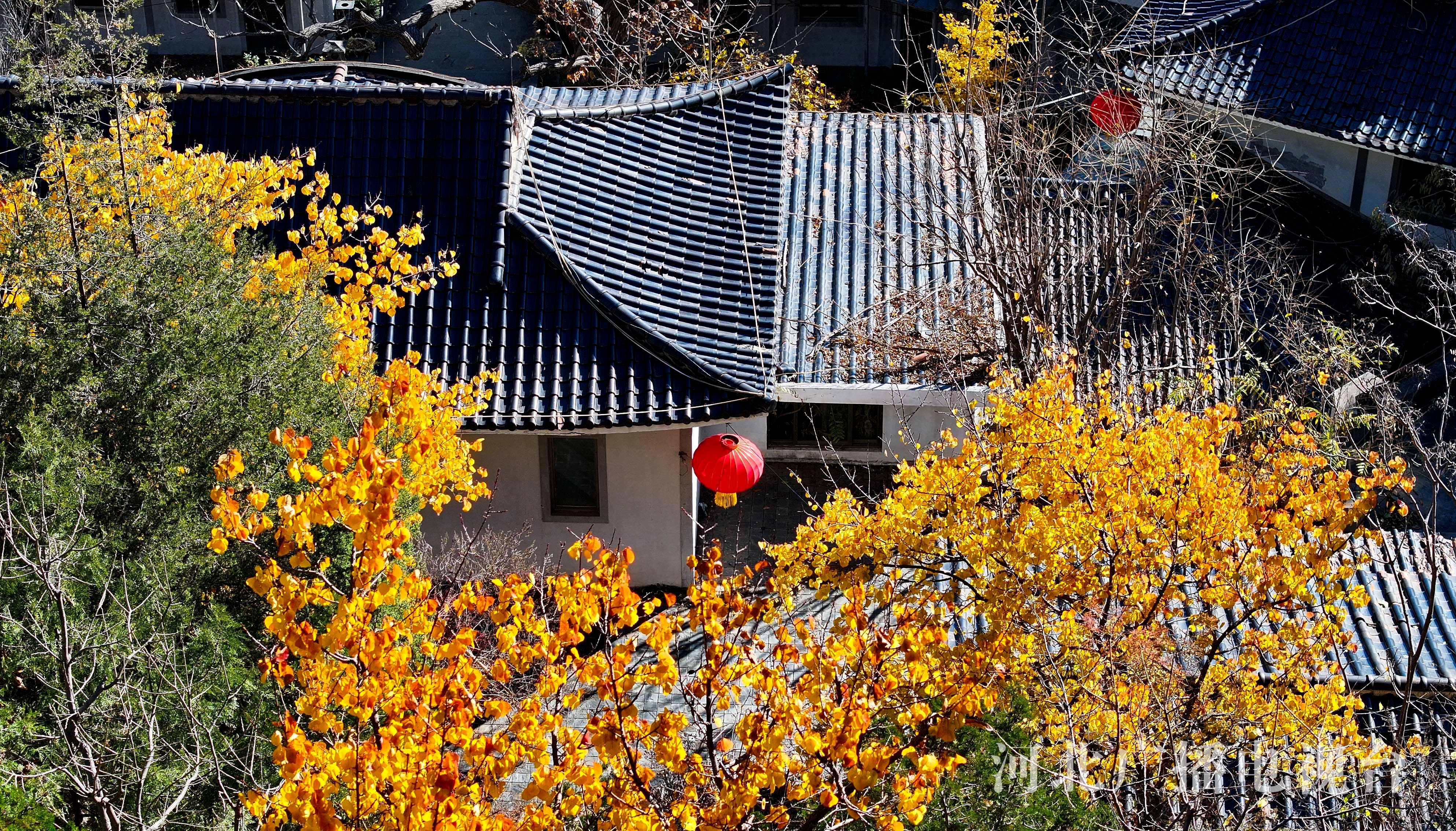 唐山遵化:禅林寺景区层林尽染 醉游人
