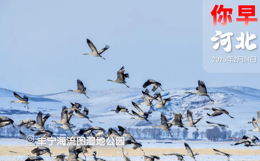 你早，河北｜唐山炼就万亿之城；河北给《哪咤2》贡献了多少票房；苹果为何选阿里；俄乌冲突有望今年结束？