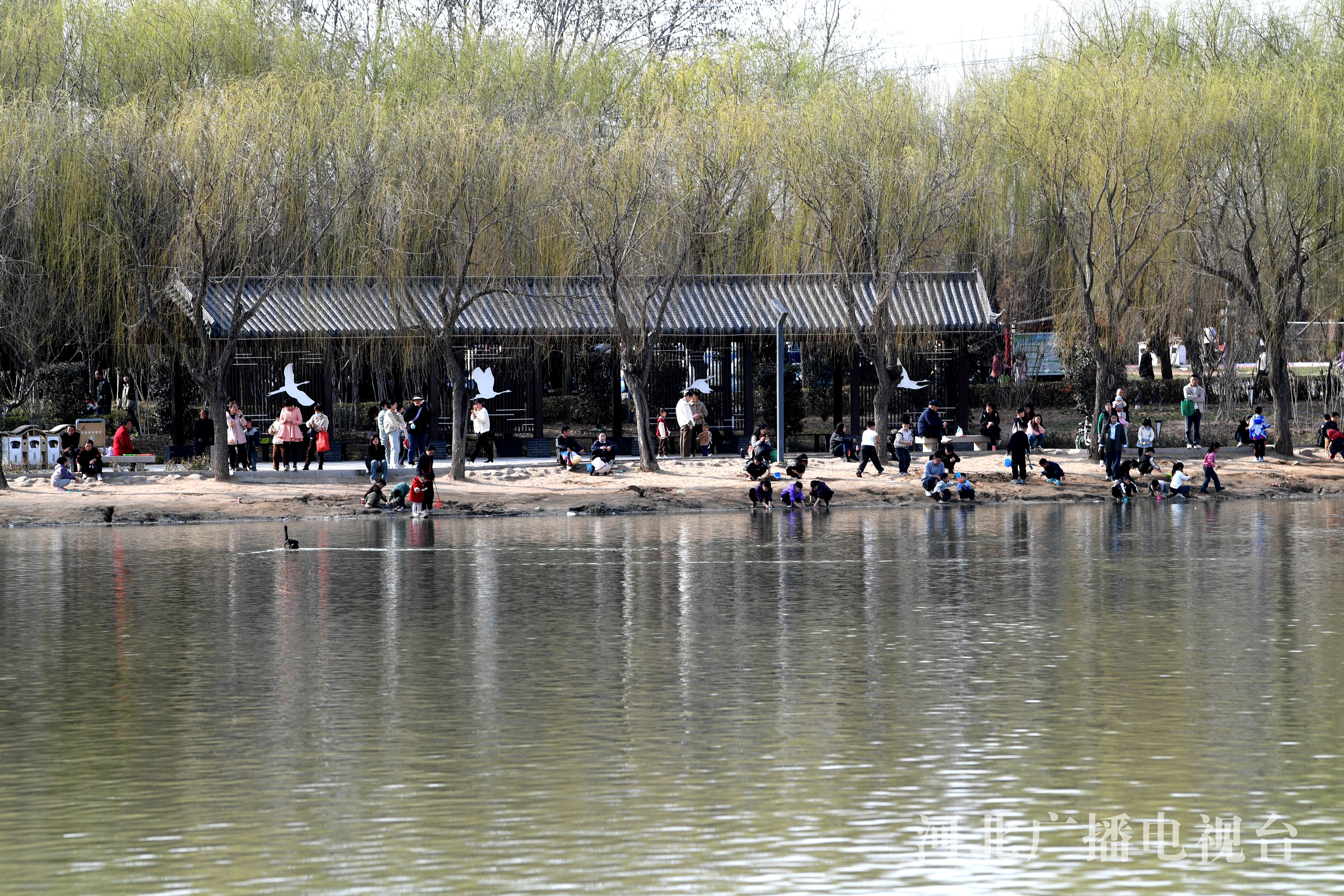广平县天气在线