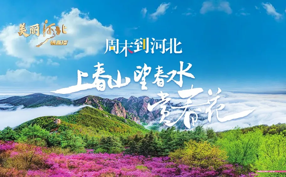 回看 ·《美丽河北》慢直播丨周末到河北，上春山！望春水！赏春花！