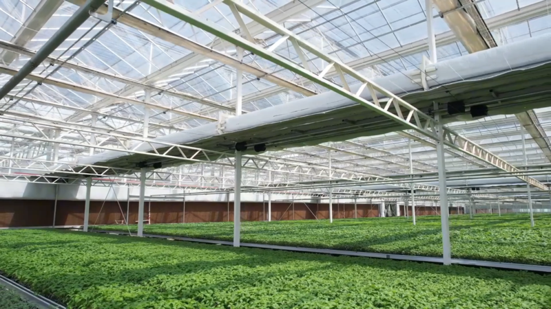 沧州：智慧赋能 应战高温“烤”验