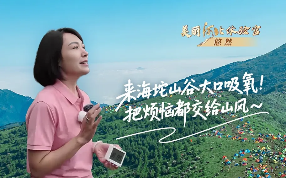 美丽河北体验官｜来海坨山谷大口吸氧，把烦恼都交给山风～#活力中国调研行·河北篇 #21℃的夏天