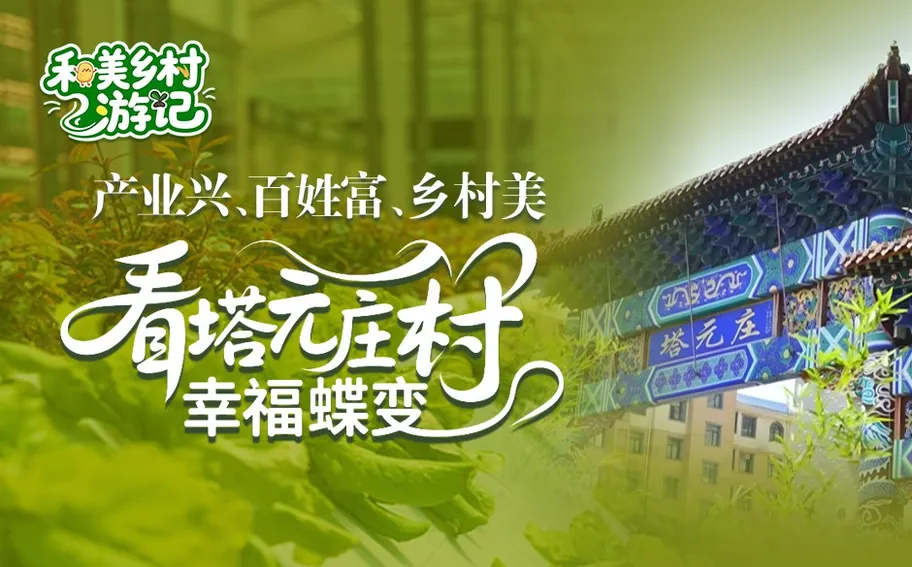 和美乡村游记 | 产业兴、百姓富、乡村美，看塔元庄村的幸福蝶变