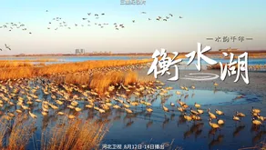 水韻千年·衡水湖