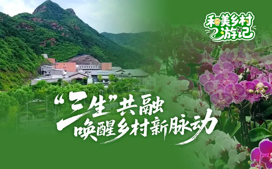 和美乡村游记 |  “三生”共融 唤醒乡村新脉动