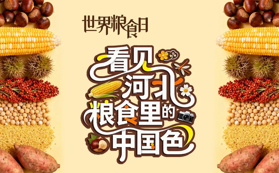 世界粮食日丨看见河北粮食里的大美中国色
