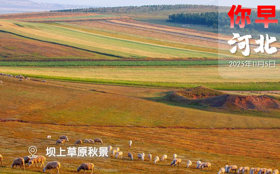 你早，河北｜史上最长春节假期去哪玩；新一轮雨雪天气来了；中方四条红线；三朝元老金永南如何屹立不倒