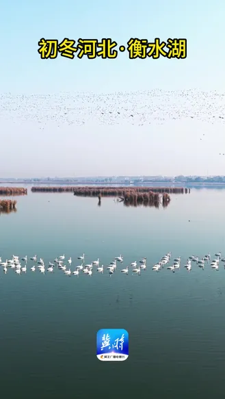 初冬河北·衡水湖