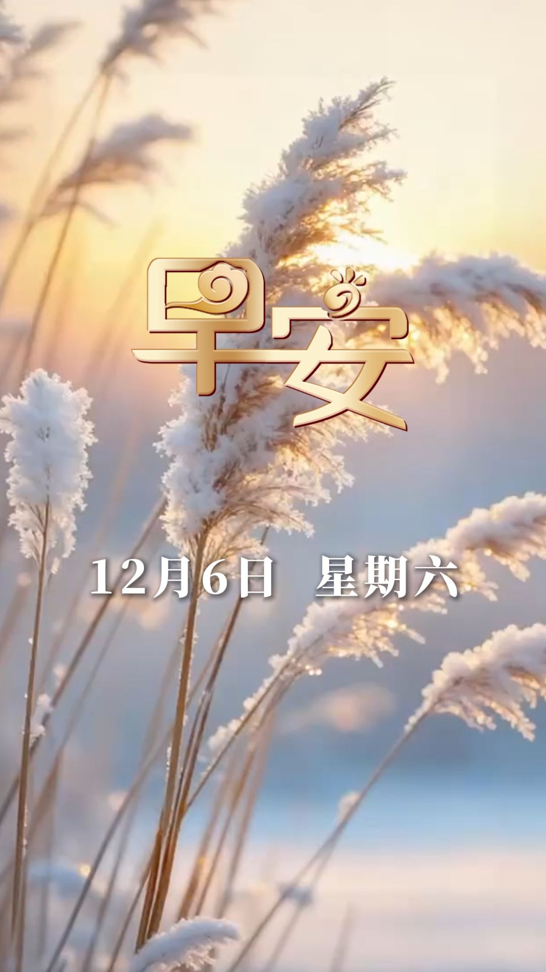 早安 | 愿您心情愉悦 生活美满