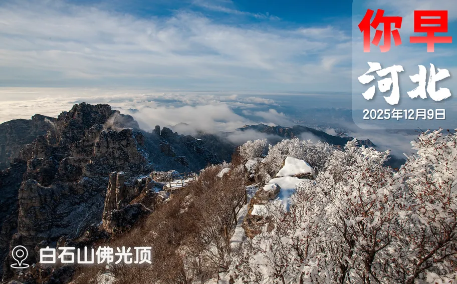 你早，河北｜更加积极的财政政策意味着什么；河北要下暴雪；打了流感疫苗怎么还会感染；德国外长为何而来？