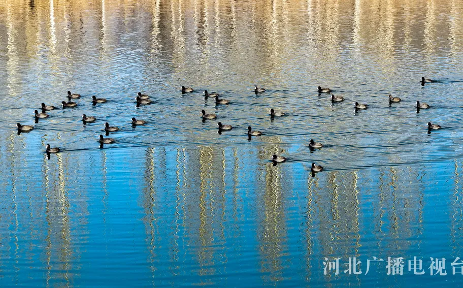 唐山遵化：河湖冬景美如画