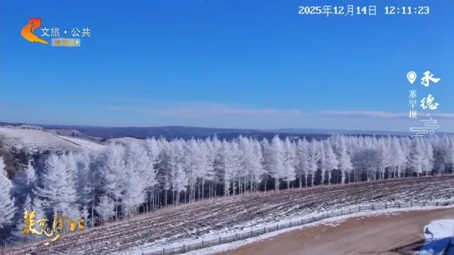 美丽河北慢直播丨2025.12.14 正午