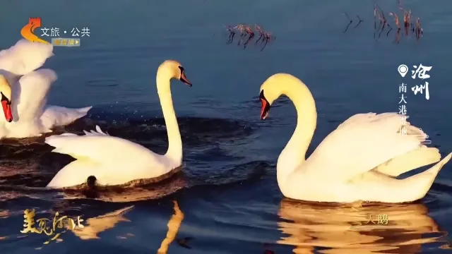 美丽河北慢直播丨2025.12.17 清晨