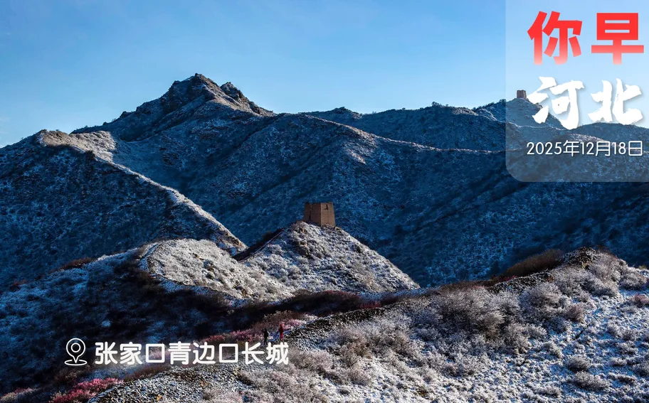 你早，河北｜石家庄一波活动来袭；斩断走私孕妇血样黑产；A股最赚钱新股诞生；白宫幕僚长“毒舌”点评