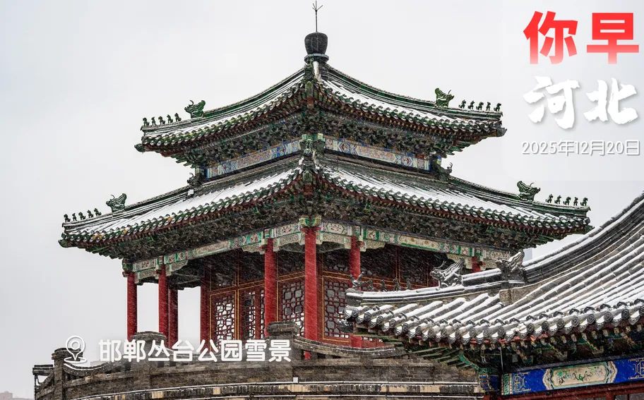 你早，河北｜石家庄超市哪家强；河北地质大学“龙人”研究上榜；买金饰更贵了；美国离的开大疆吗