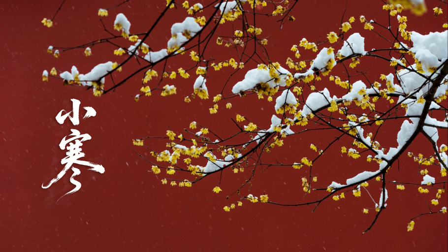 主播说节气丨小寒：藏暖守阳，静待春信，万事可期！