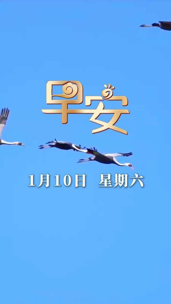 早安丨白枕鹤起飞 好运常相随