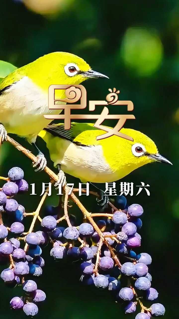 早安丨多变的是天气，不变的是惦记 ~祝您平安健康！