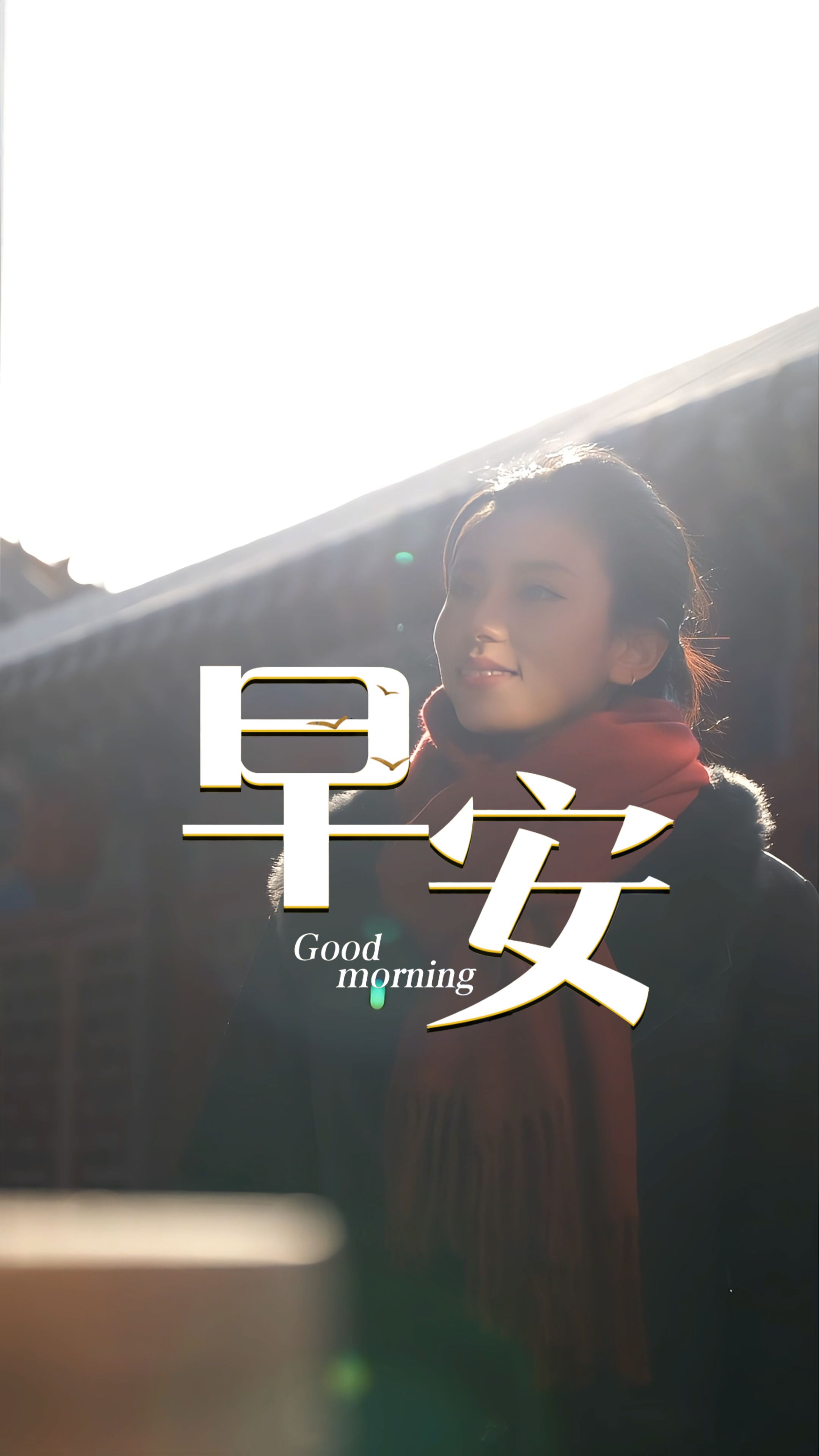 2026年1月17日，早安！晨光破雾，枝头凝霜，四九如约而至，四九有“数九寒天，进补御寒”的老习俗，喝碗热粥暖脾胃，吃口萝卜润身心，添衣保暖莫着凉。寒风虽烈，却藏着春的伏笔；坚守虽苦，终会迎得暖阳。愿你晨起有暖意，心头有光亮，三餐温热，万事顺意！