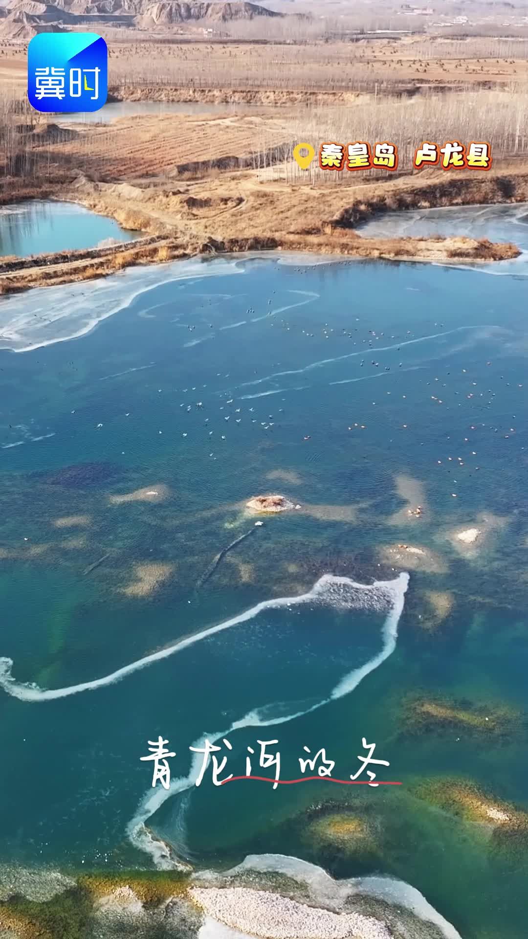 秦皇岛卢龙：青龙河的冬 最灵动的篇章
