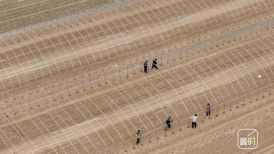 邯郸：大寒将至农事忙