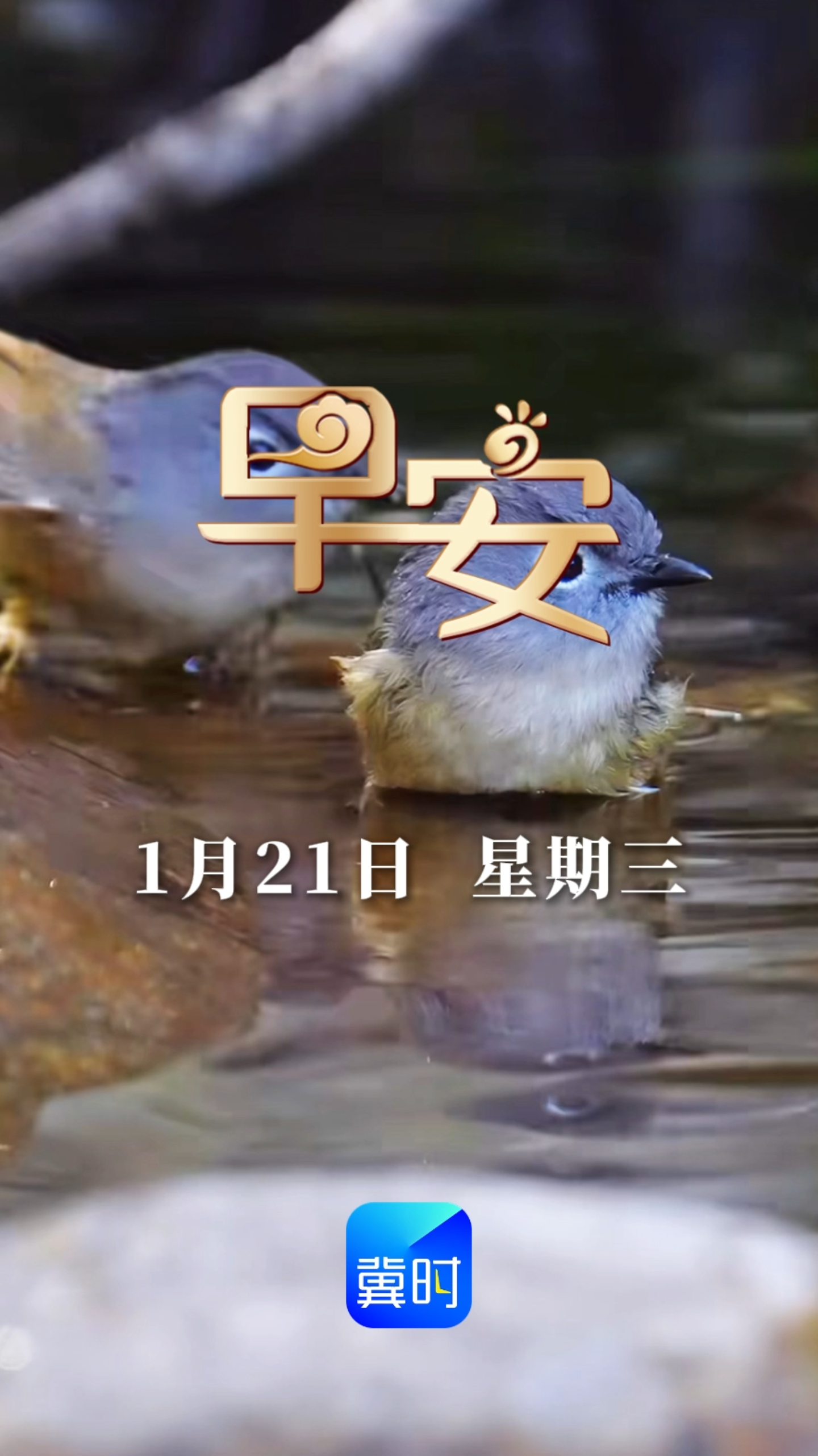 早安丨愿您前路皆坦途，万事皆顺意