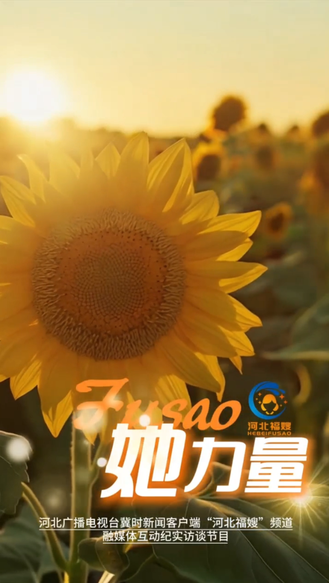 孟阿双：河北福嫂为何泪湿双眼…… | 她力量