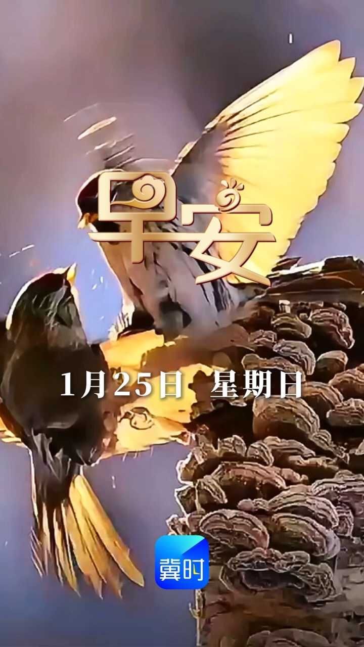 早安丨花开节节高 富贵步步升