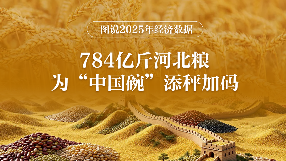 图说2025年经济数据丨784亿斤河北粮为“中国碗”添秤加码