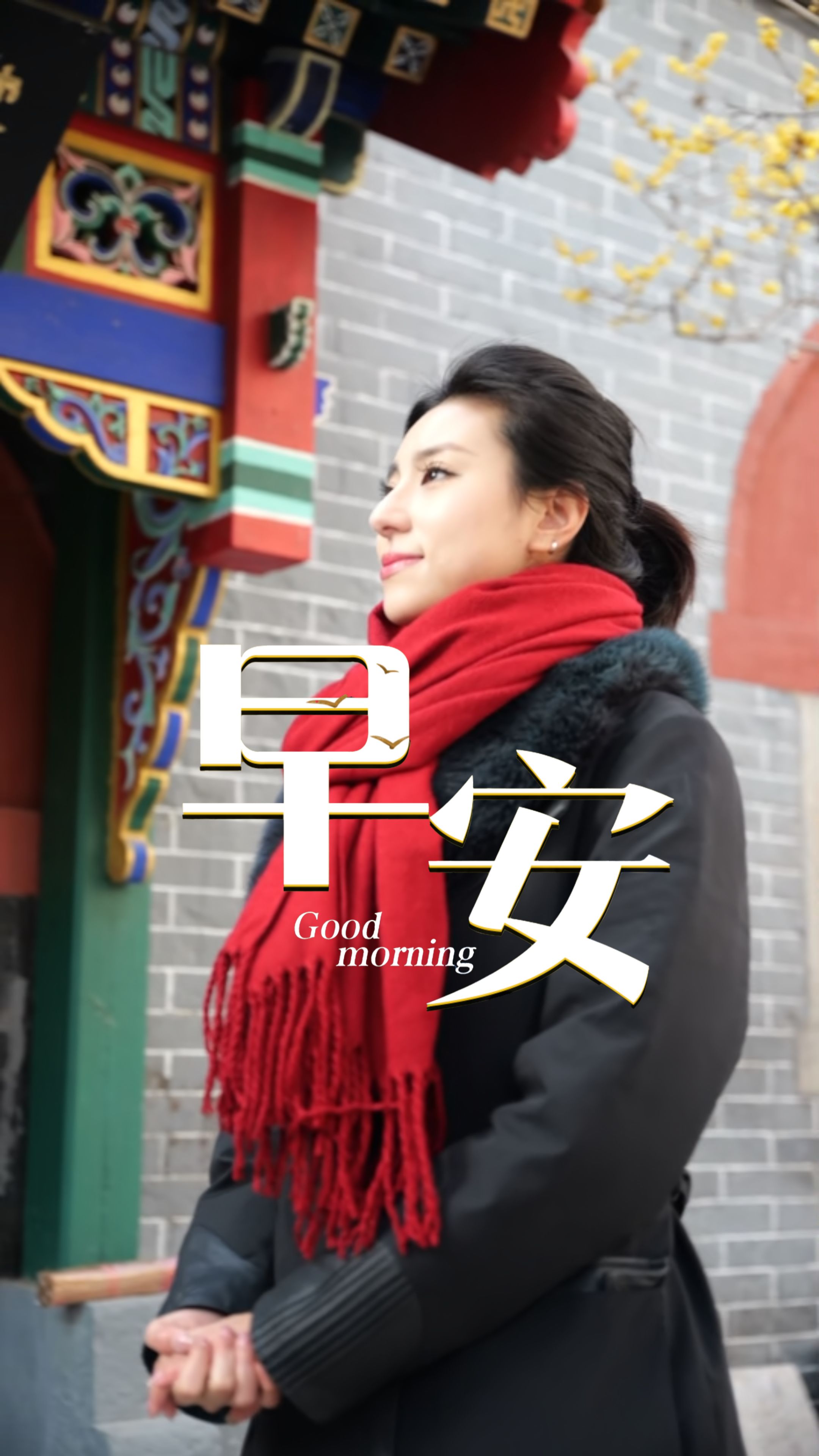 2026年1月29日，早安！又是元气满满的一天，别怕前路有波折，坚定脚步就会遇见光芒。追梦路上，愿你用微笑迎接晨光，用勇气奔赴远方，心中有光，步履铿锵！