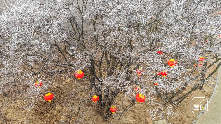 唐山：菩提岛雾凇景如画