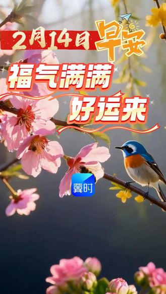 2月14日，早上好！朝朝夕夕一天天，忙忙碌碌一年年，春夏秋冬弹指间，好好珍惜每一天。愿我们都健康平安，幸福快乐，早安！#早安