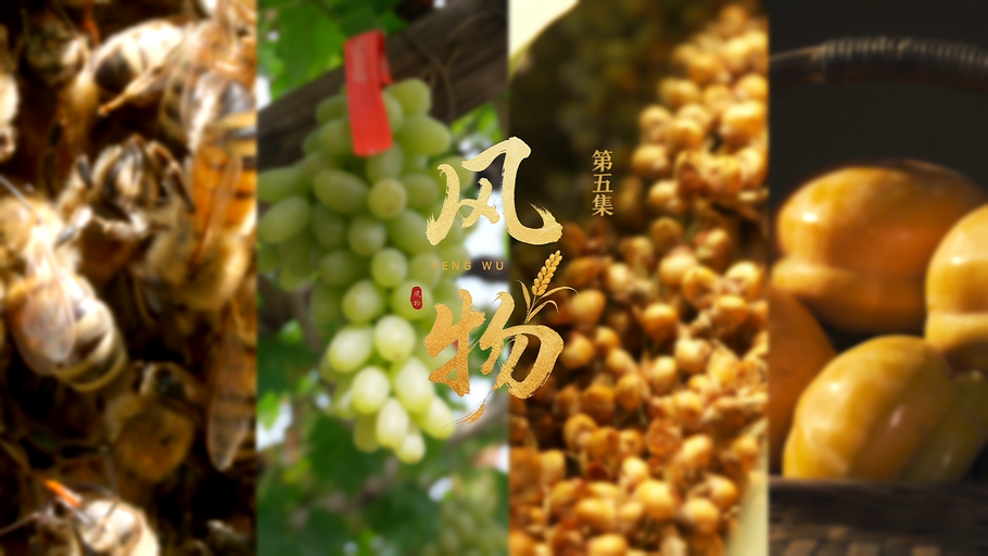 《沃野之上》第五集《风物》