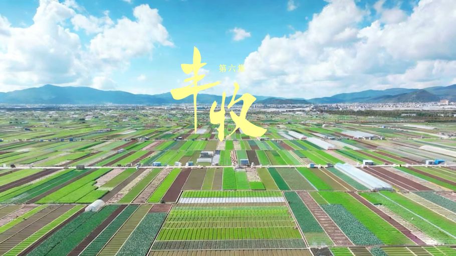 《沃野之上》第六集《丰收》