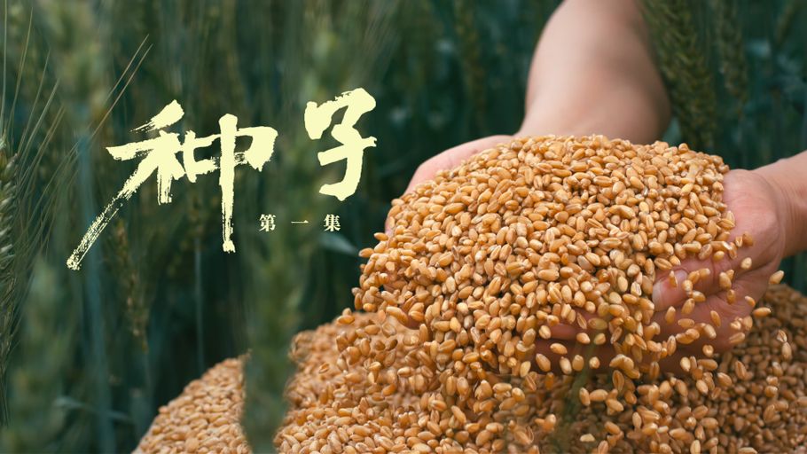《沃野之上》第一集《种子》