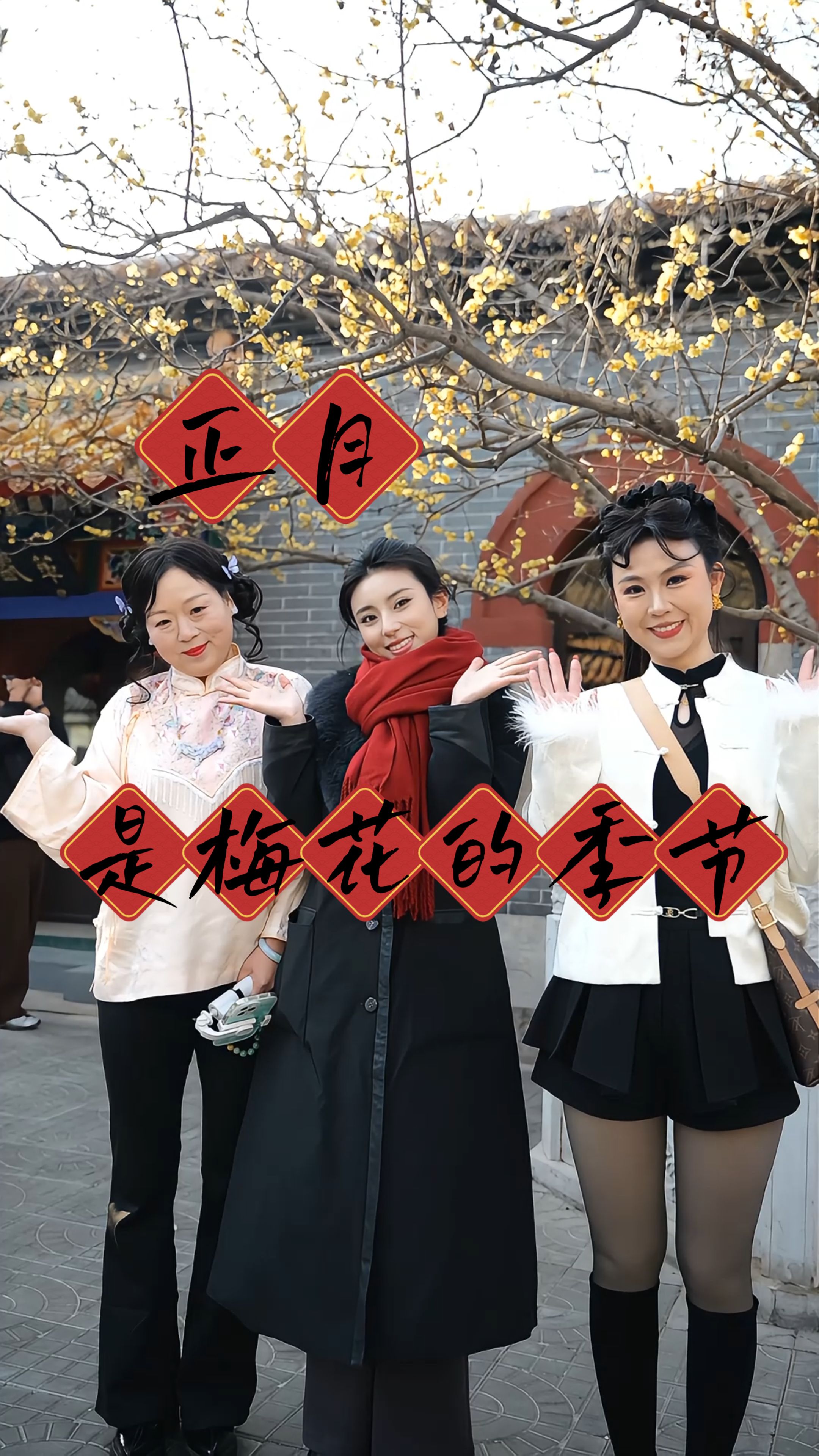 正月，是梅花的季节！@石家庄鹿泉十方院