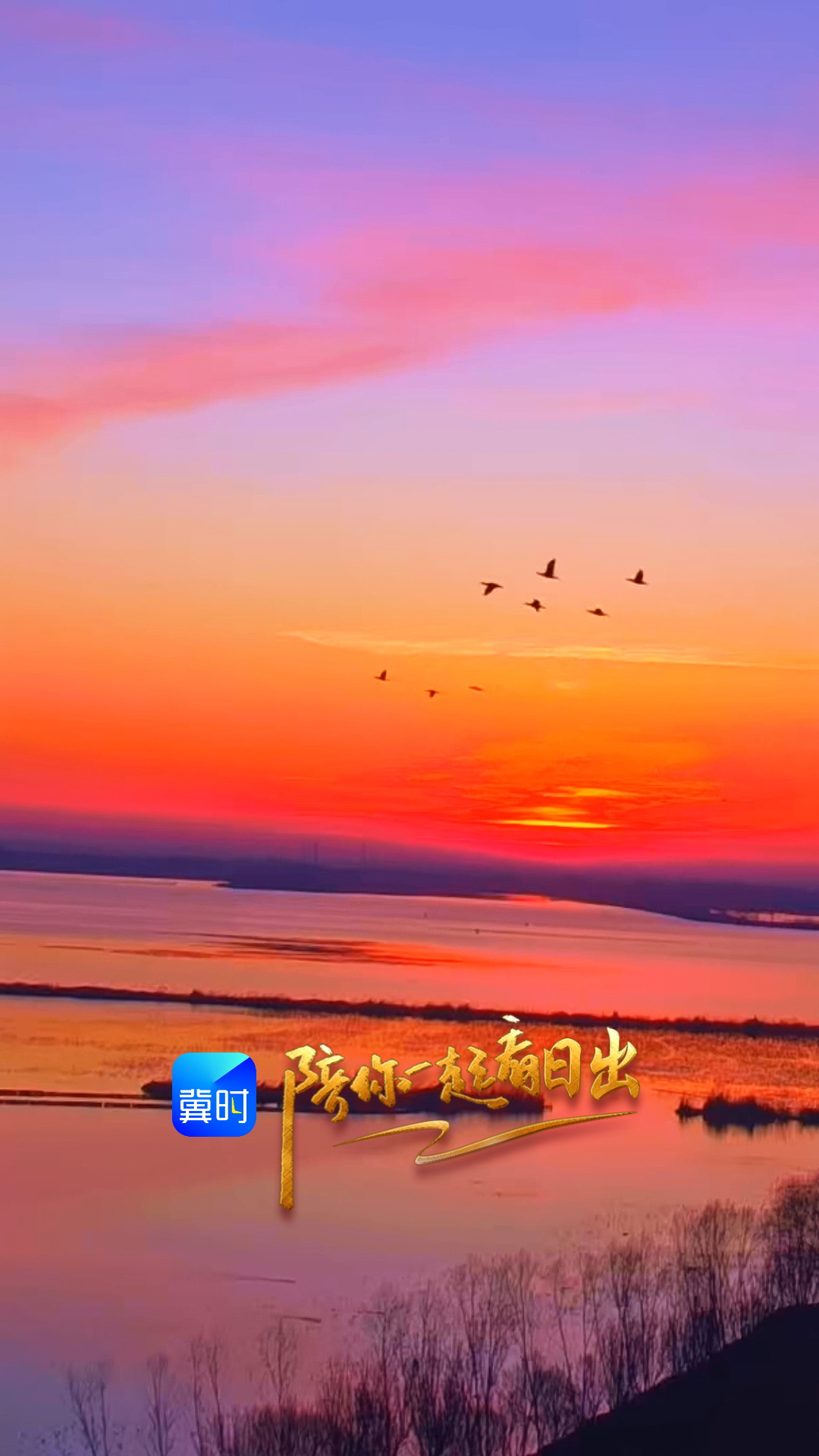 陪你一起看日出丨衡水湖 2026.02.20