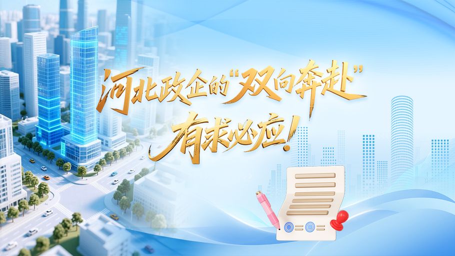 SVG丨河北政企的“双向奔赴”，有求必应！